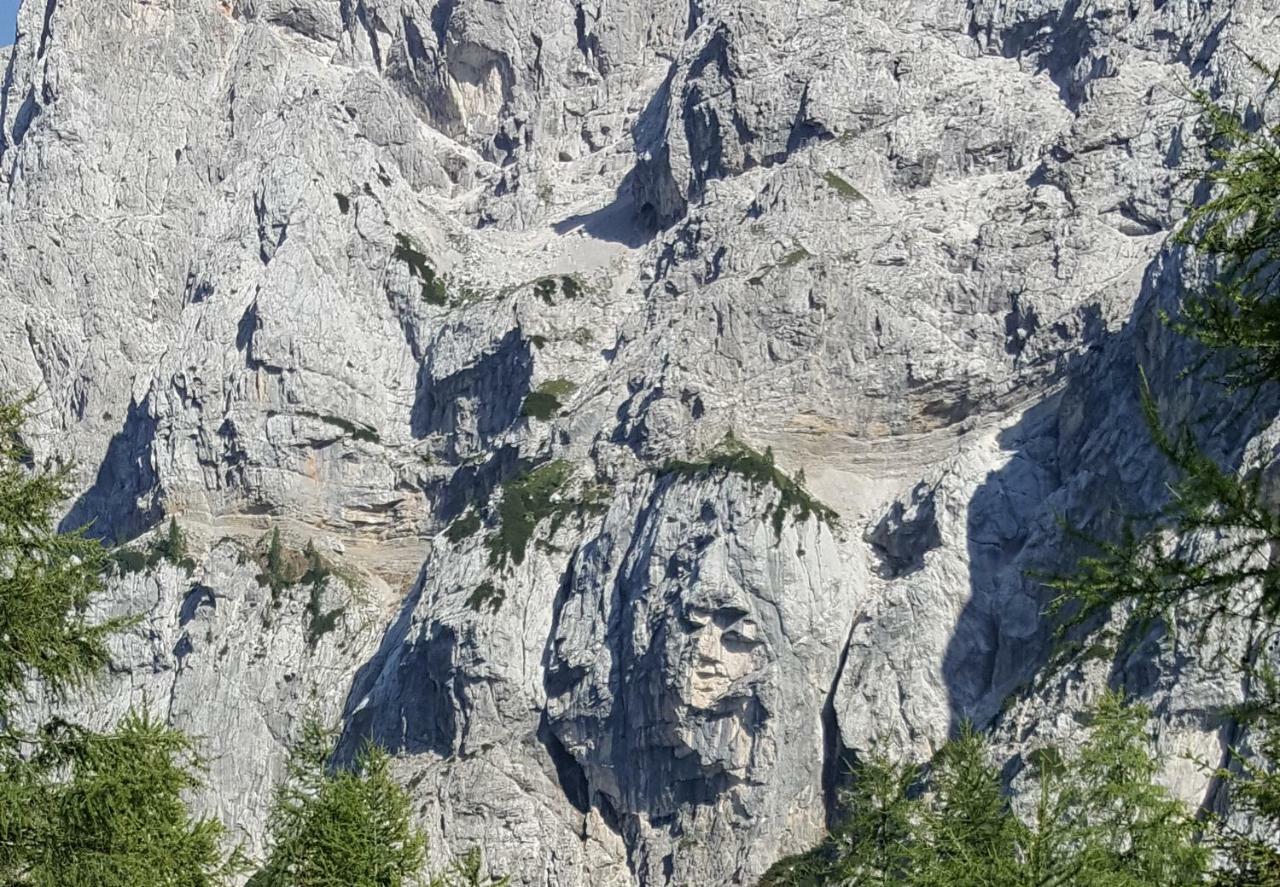 Apartma Manca Kranjska Gora Exteriér fotografie