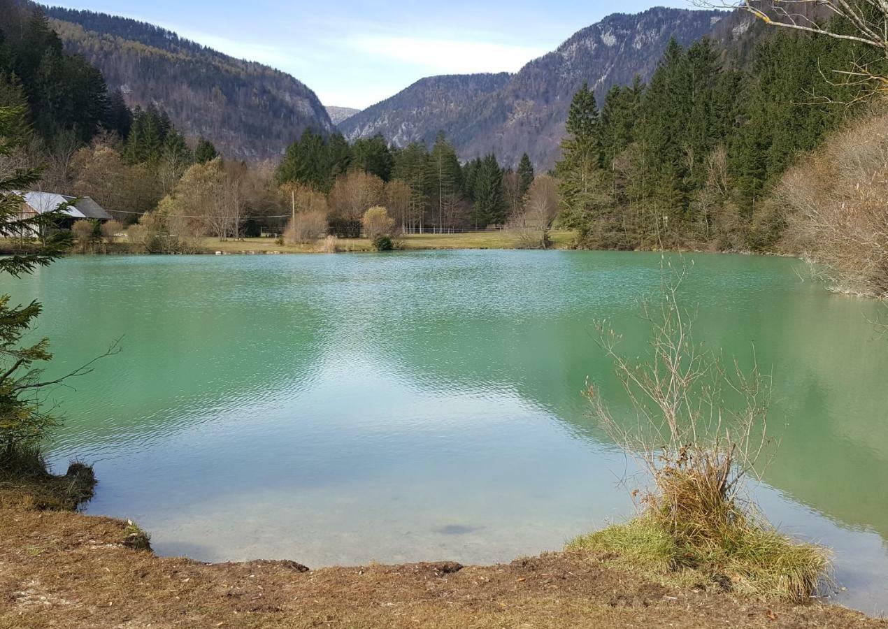 Apartma Manca Kranjska Gora Exteriér fotografie